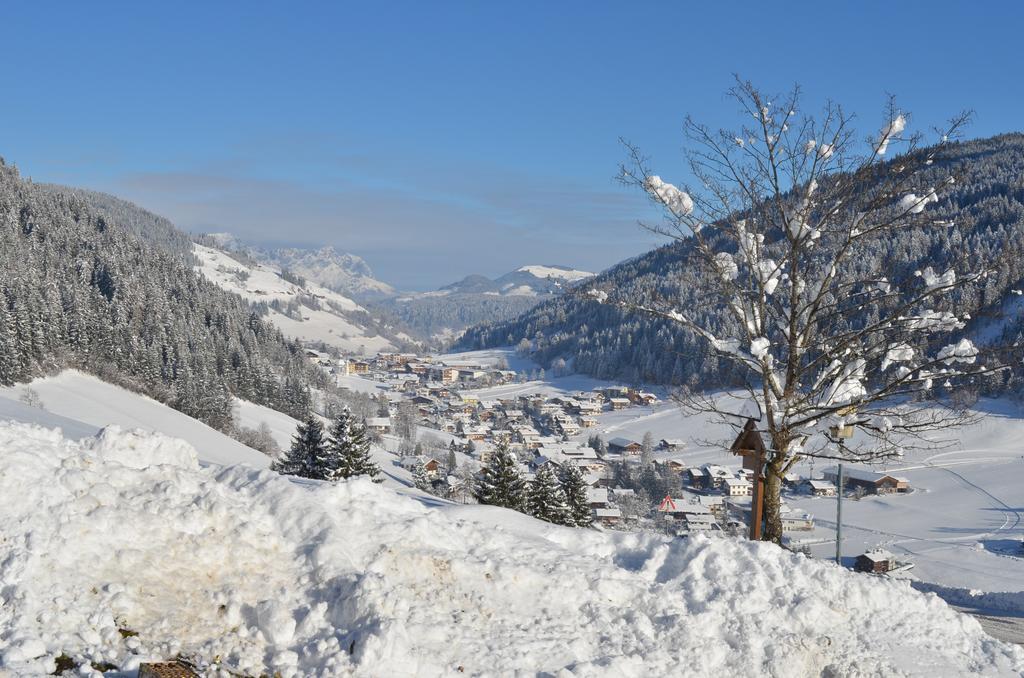 Dorfjuwel Appartement Oberau